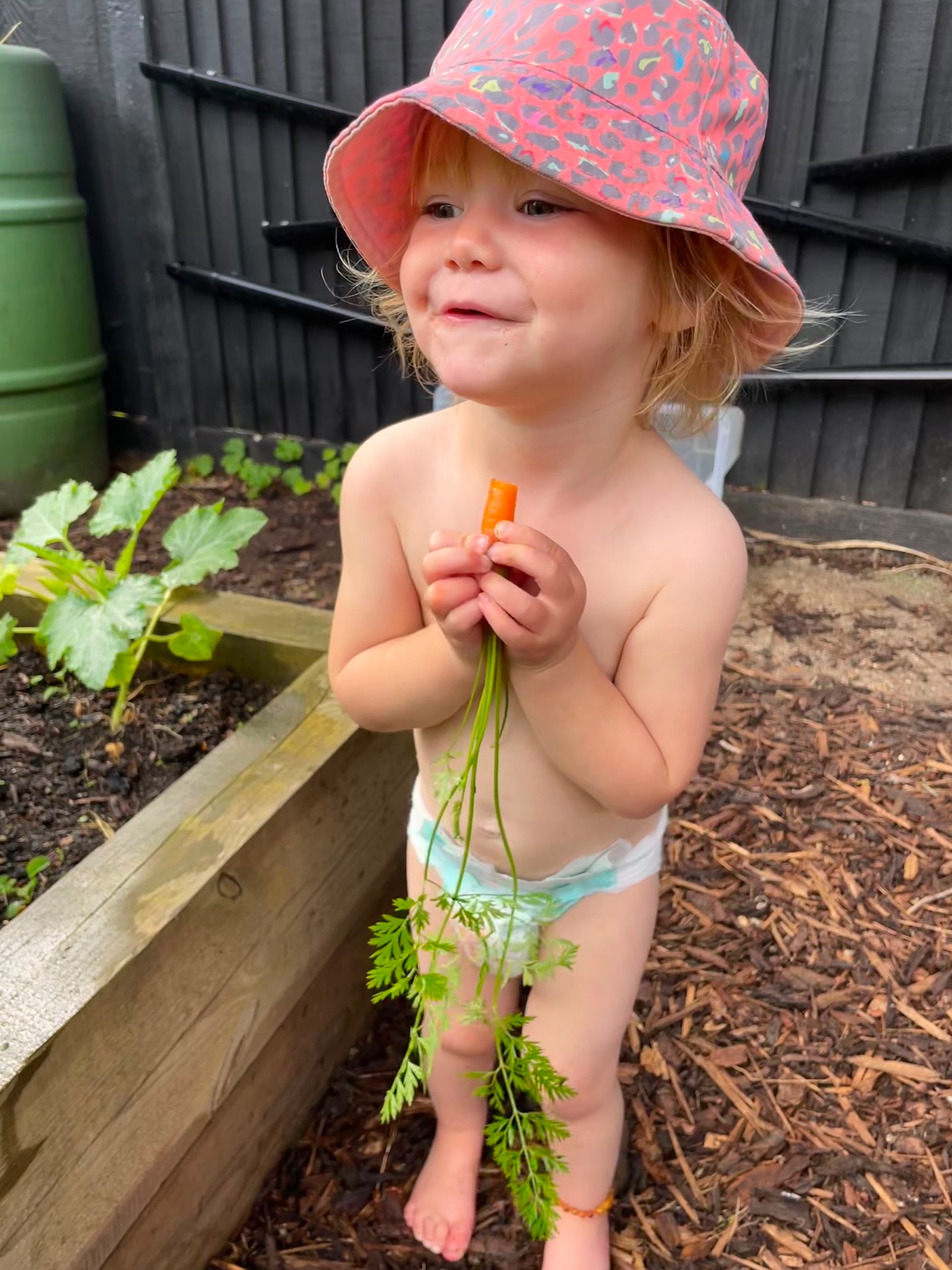 A toddler in a sun hat holding a freshly pulled carrot