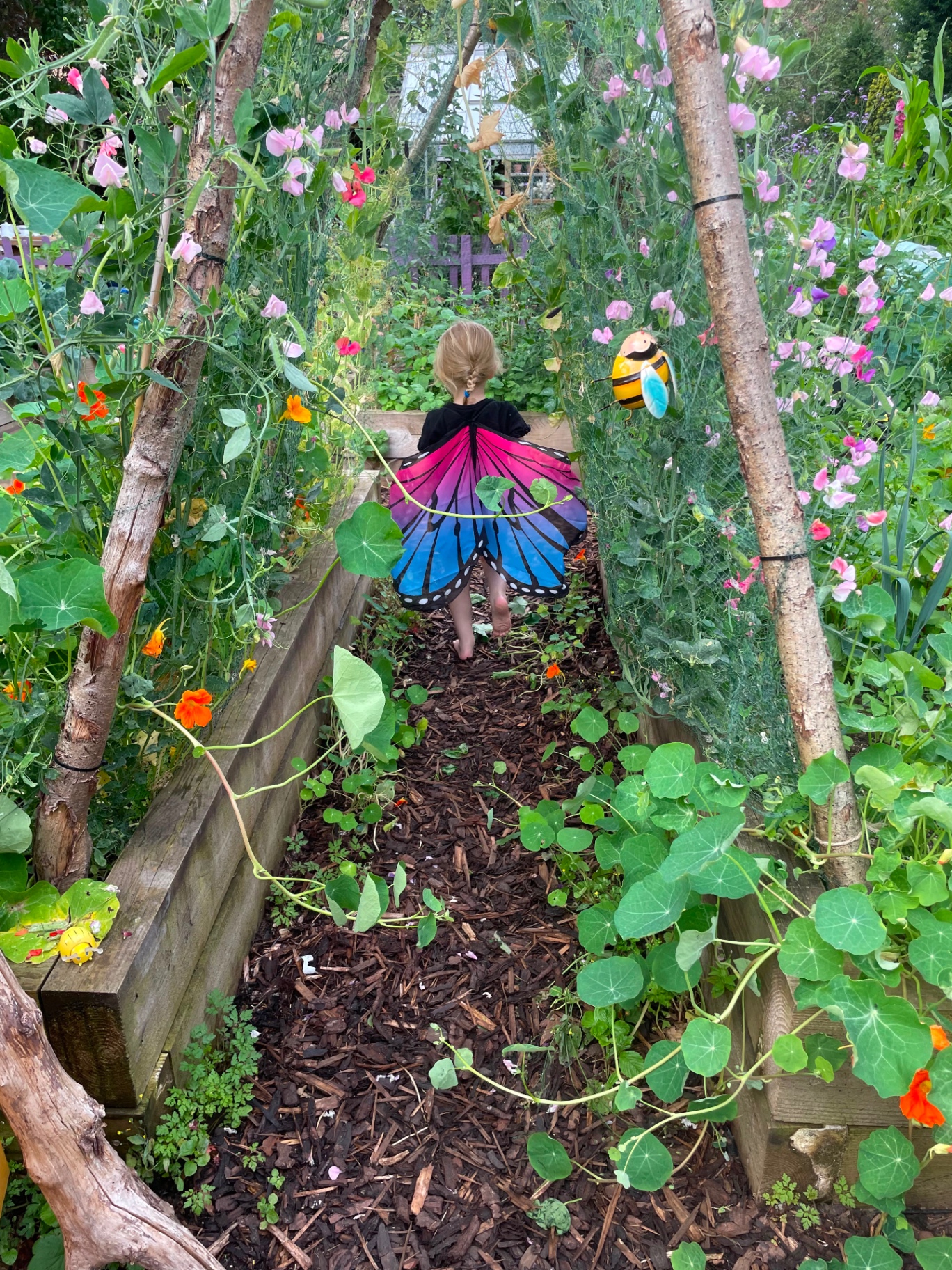 A child in butterfly wings running down a sweet pea tunnel