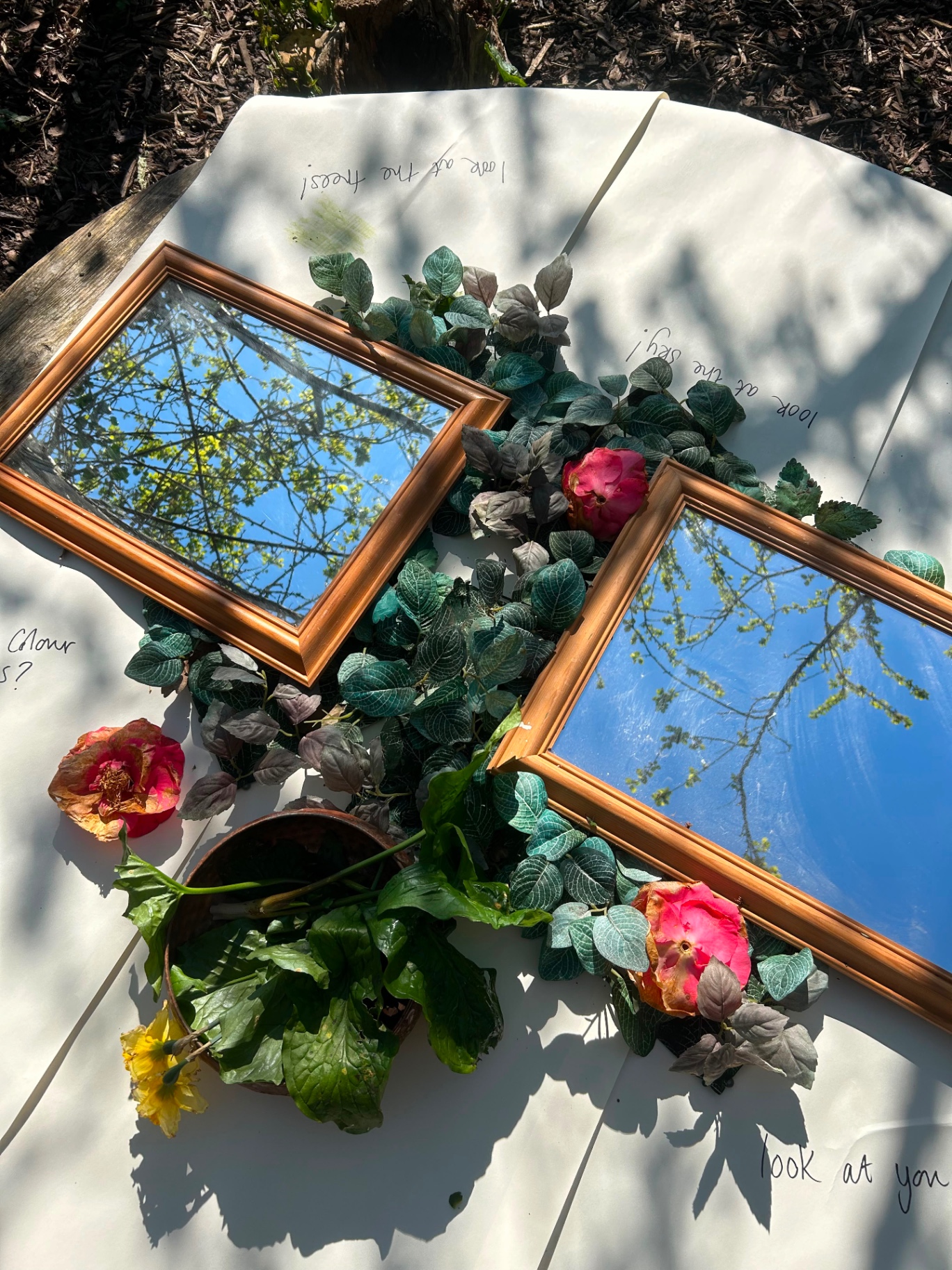 Mirrors, flowers and handwritten prompts laid out outdoors