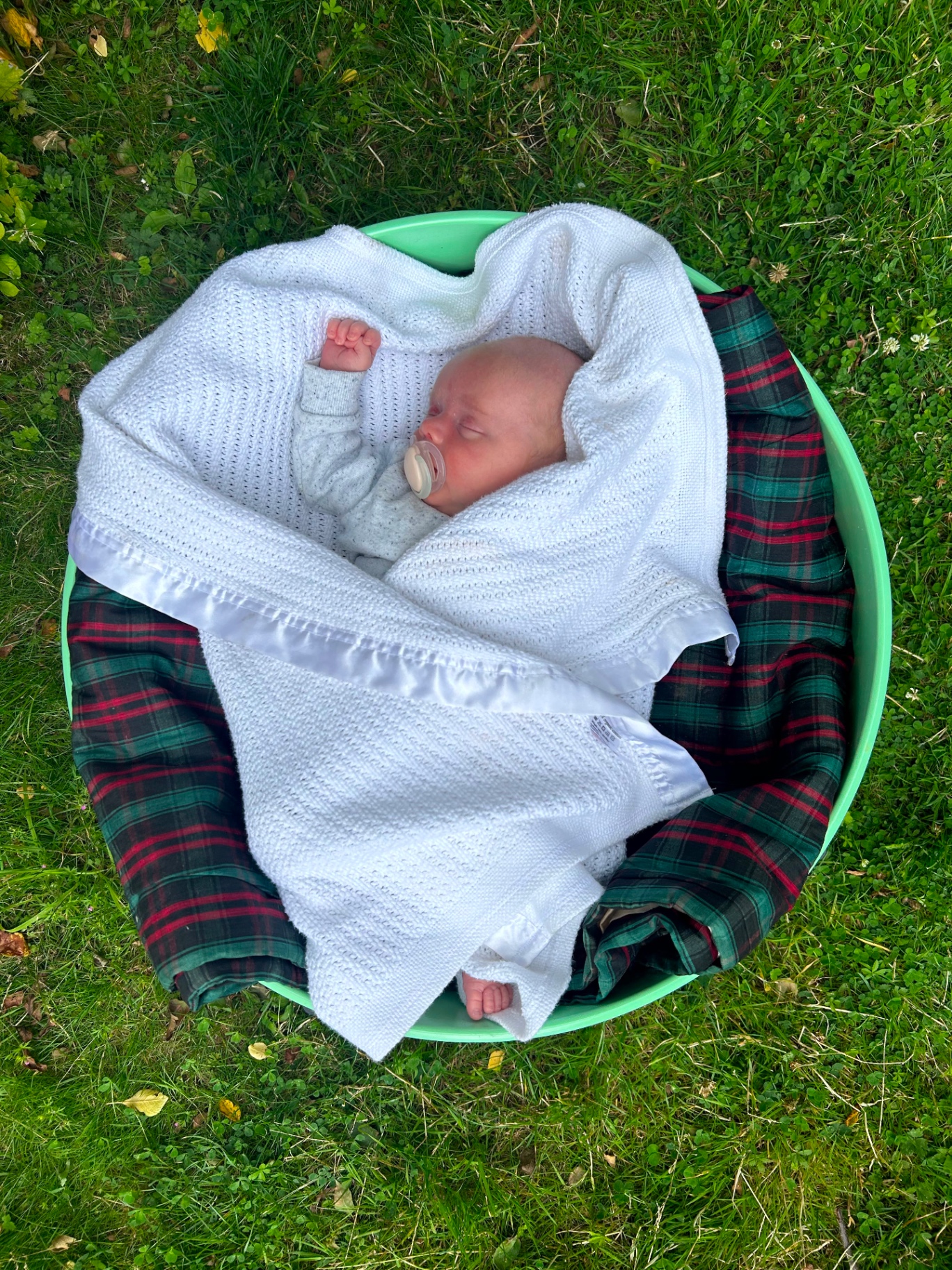 A baby napping in a blanket-lined tub on the grass